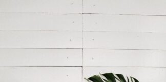 O outono está chegando! Separamos 3 plantas que se adaptam bem às mudanças de luz da estação…