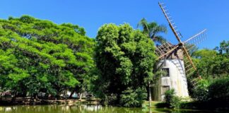 Que tal conhecer um pouco a história do Moinhos de Vento?