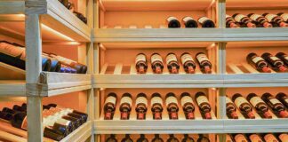 Adega em casa: conheça os tipos!