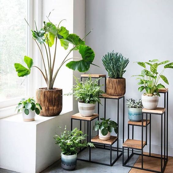 6c7f753efad8b37abb05d9aa04319539