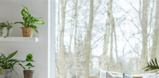 Quartos relaxantes: o que eles precisam ter?