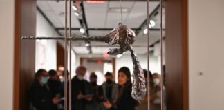 A ‘coleção mais cara do mundo’ agita os leilões de Nova York