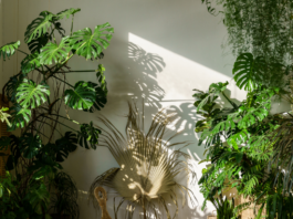 4 tendências de decoração para 2022!