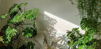 4 tendências de decoração para 2022!