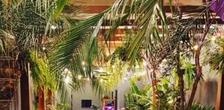 Conheça 3 cafés encantadores no bairro Auxiliadora!