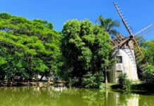 Que tal conhecer um pouco a história do Moinhos de Vento?