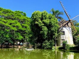 Que tal conhecer um pouco a história do Moinhos de Vento?