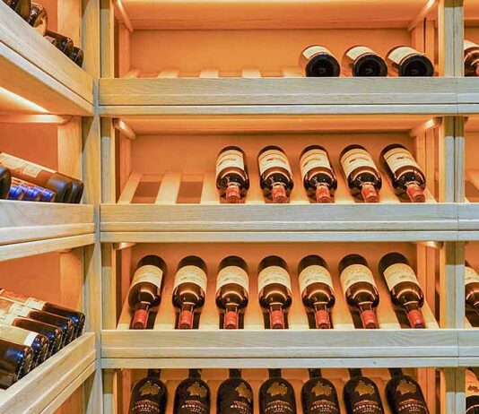 Adega em casa: conheça os tipos!