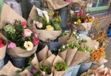 Para os apaixonados por flores: Conheça as floriculturas no bairro Moinhos