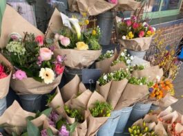 Para os apaixonados por flores: Conheça as floriculturas no bairro Moinhos